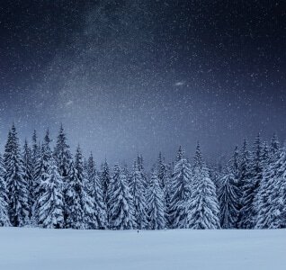 blog img 8